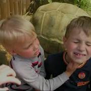 Бумер Пидорасы