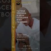 Сайфуллах Таухид