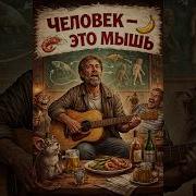 Человек Это Мышь