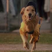 Air Bud 4 Trailer
