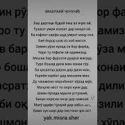 Китоби Мавлави Чунуни