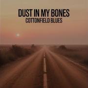 Dust In My Bones Cottonfield