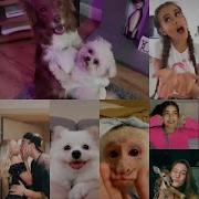 Three Two One Go Tik Tok Compilation