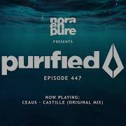Purified Radio 501