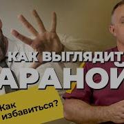 Паранойя