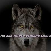 Одинокий Волк Шансон Караоке