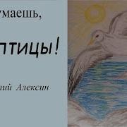 Подумаешь Птицы