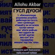 Гусл Нияти