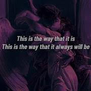 Petermcp Digital Silence