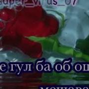 Гулхои Зебо