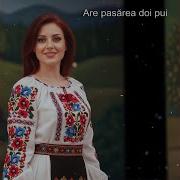 Are Pasărea Doi Pui
