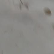 Татьяна Катогарова