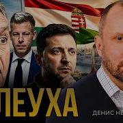 Денис Невядомский Дикий Live