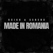 Made In Romanian Hardtekk