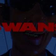 Brooky Candy Swans