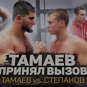 Влад Тамаев