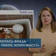Из Илон Маск Мем