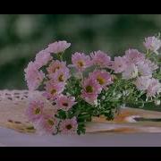 Дарите Женщинам Пиздв