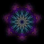 Conga Club Tory Lacroze