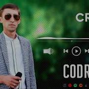 Muzica Moldoveneasca Codru