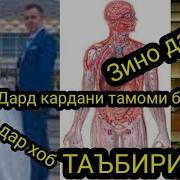 Зан Гирифтан Дар Хоб