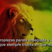 Energia Vibra Positiva
