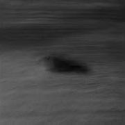 Walkboy Birdy Personality