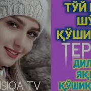 Узбек Туй Терма