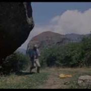 Вицен С Тряпкой