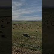 Ле Ле Ле Лей Хеее