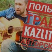 Полынь Трава Казлитин