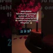 Ака Тугилган Куниз Билан Шер