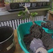 Реанимация Книга 2