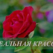 Невероятная Красота Саблиминал