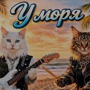У Моря Коты Жгут