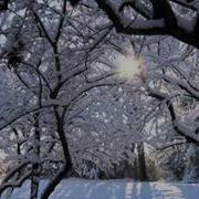 Беломорконал Скаски Зимы