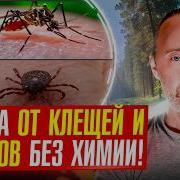 Фролов М