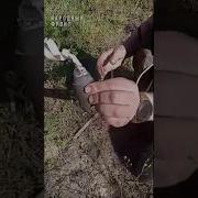 Не Клал Не Поднимай