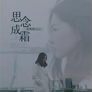 思念成霜 Dj沈念版