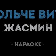 Караоке Жасмин