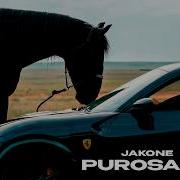 Purosangue Jakone Macan