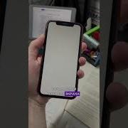 Стихи О Школе