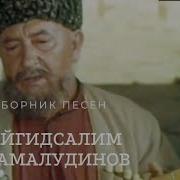 Сайгид Салим