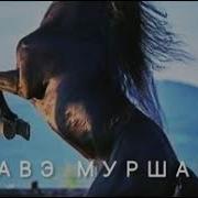 Чаво Муршари