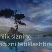 Sokinlik