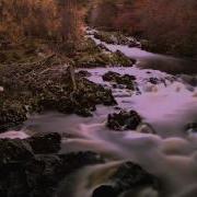 Мишари Рашид Дуа