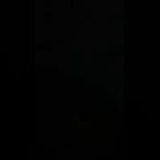 Pulpo 69