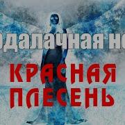 Красная Плесень Вурдалачная Ночь