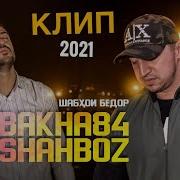Шабхои Бедори