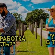 Илья Тарковский Рассказы